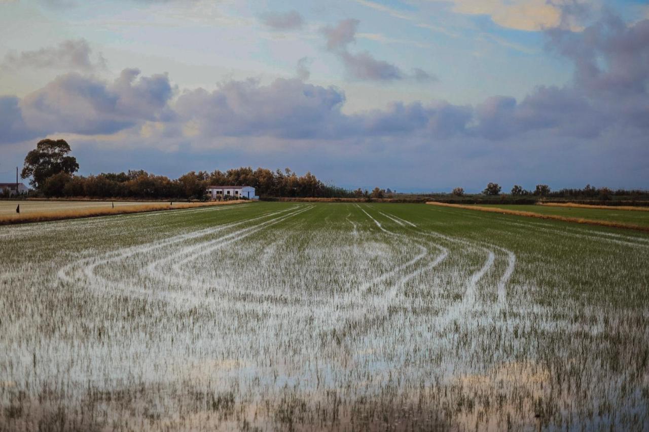 Вілла La Casita Del Poble Nou Del Delta Екстер'єр фото