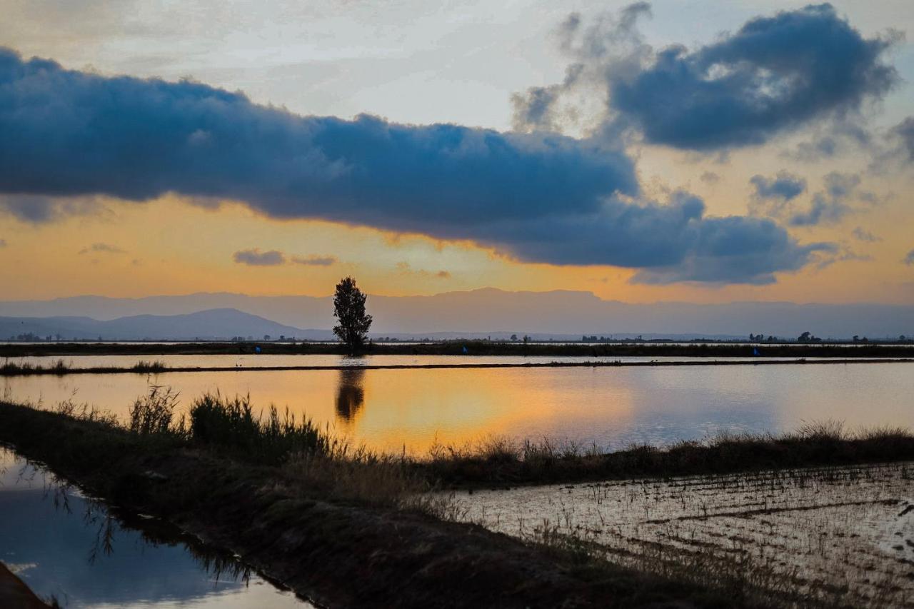 Вілла La Casita Del Poble Nou Del Delta Екстер'єр фото