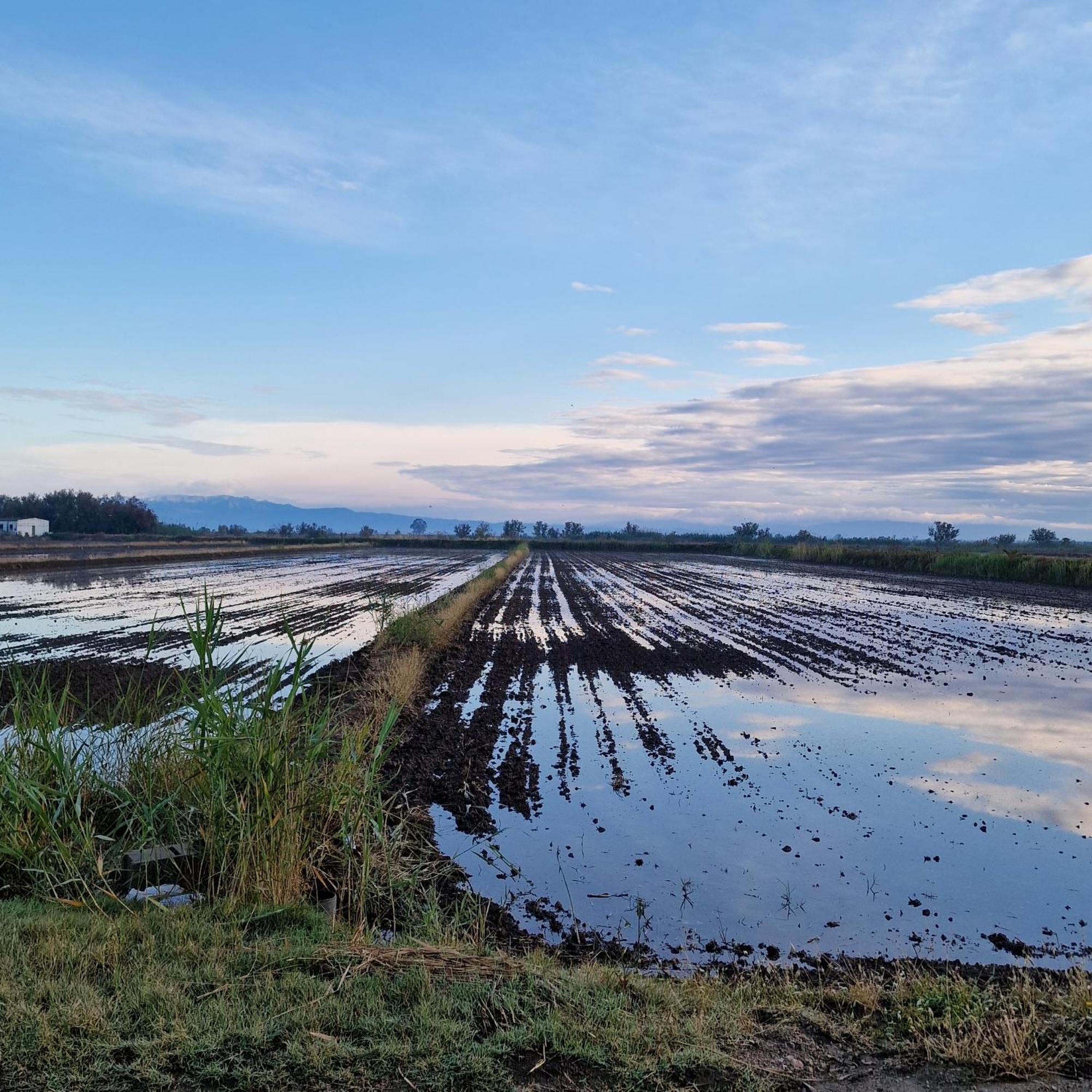 Вілла La Casita Del Poble Nou Del Delta Екстер'єр фото
